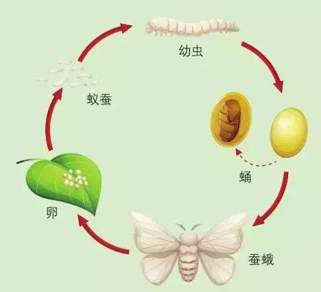 度過 意思|度過的解釋